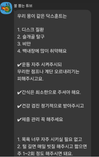 KB 펫보험 후기 3개(보험료, 청구 후기 공개)