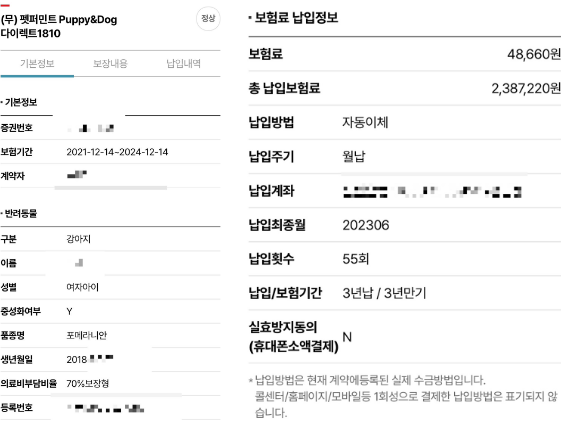 메리츠 펫보험 후기 3개(강아지, 고양이 보험료 공개)