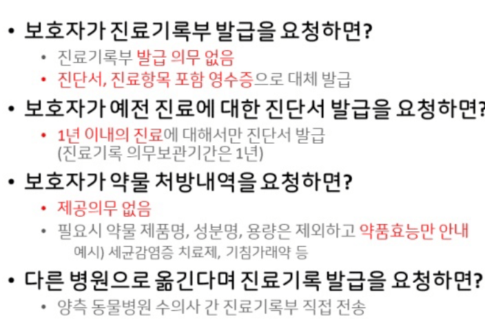 메리츠 펫보험 후기 3개(강아지, 고양이 보험료 공개)