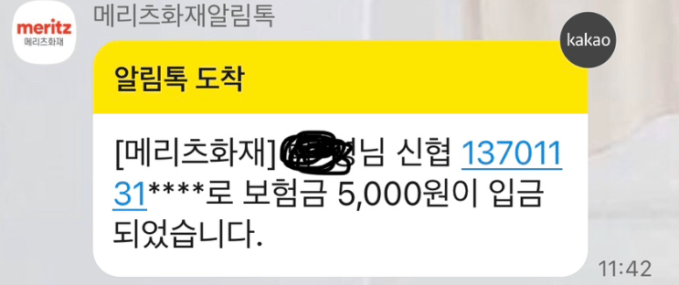 메리츠 펫보험 후기 3개(강아지, 고양이 보험료 공개)