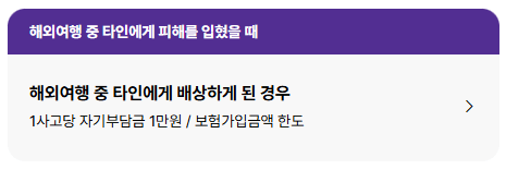 롯데손해보험 여행자보험 후기 3가지(청구 후기 포함)