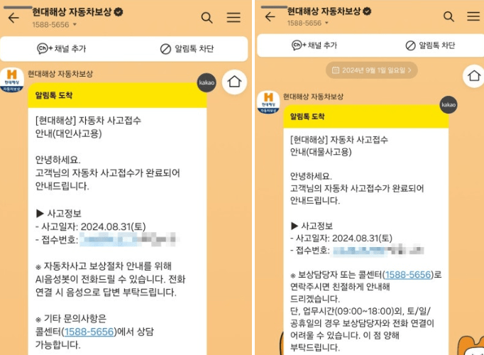 현대해상 운전자 보험 후기 5가지(사고후기, 보험료공개)