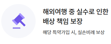 DB 여행자 보험 후기 5가지(병원비, 수리비 청구내역)