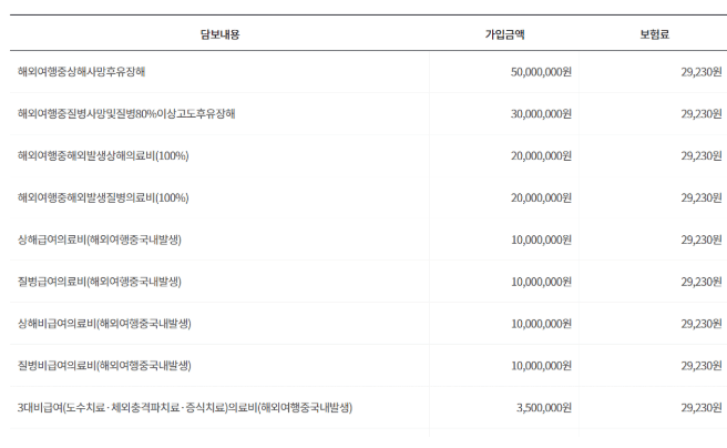 DB 여행자 보험 후기 5가지(병원비, 수리비 청구내역)