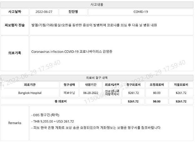 DB 여행자 보험 후기 5가지(병원비, 수리비 청구내역)