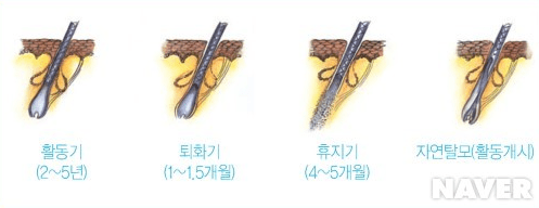 우체국 실비보험 후기 3가지(청구후기, 보험료공개)