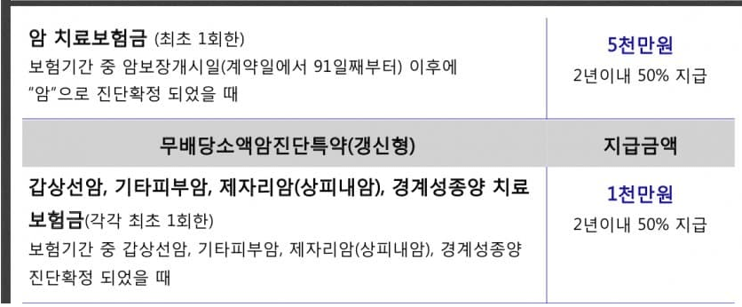 라이나생명 암보험 후기 7가지(추천후기/실망후기)