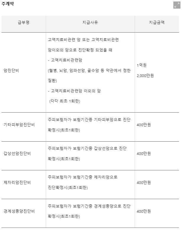 동양생명 수호천사 암보험 후기 9가지(보험비/실망후기)