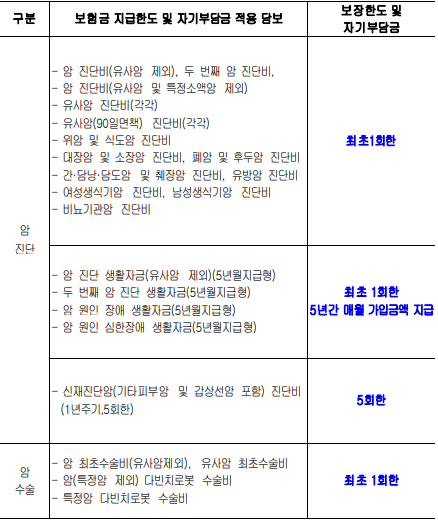 삼성화재 암보험 후기 5가지(암청구 후기, 지급시간)