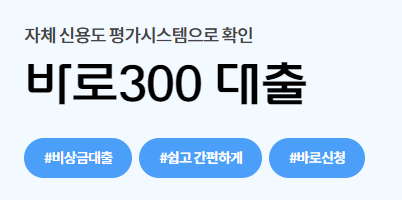 바로바로론 300 대출 후기(최대 3,000만원)