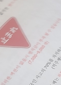 오박사 렌트카 후기 6가지(장단점/4박요금 공개)