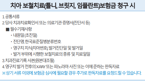 라이나 치아보험 후기 4가지(청구하는 방법은?)