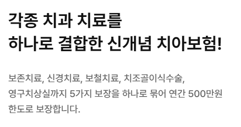 메리츠화재 치아보험 후기 3가지를 알아보자