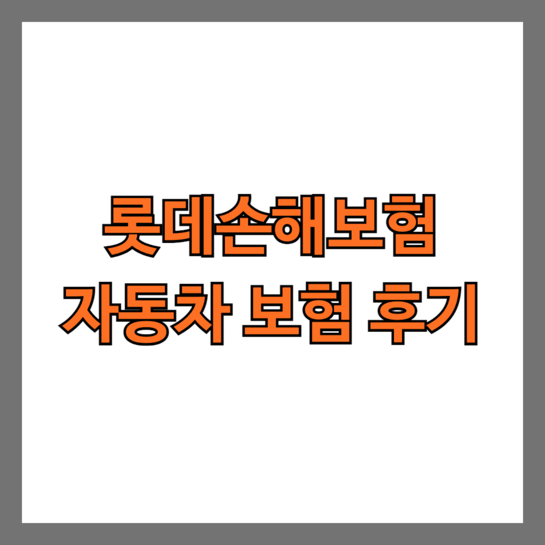 롯데손해보험 자동차 보험 후기