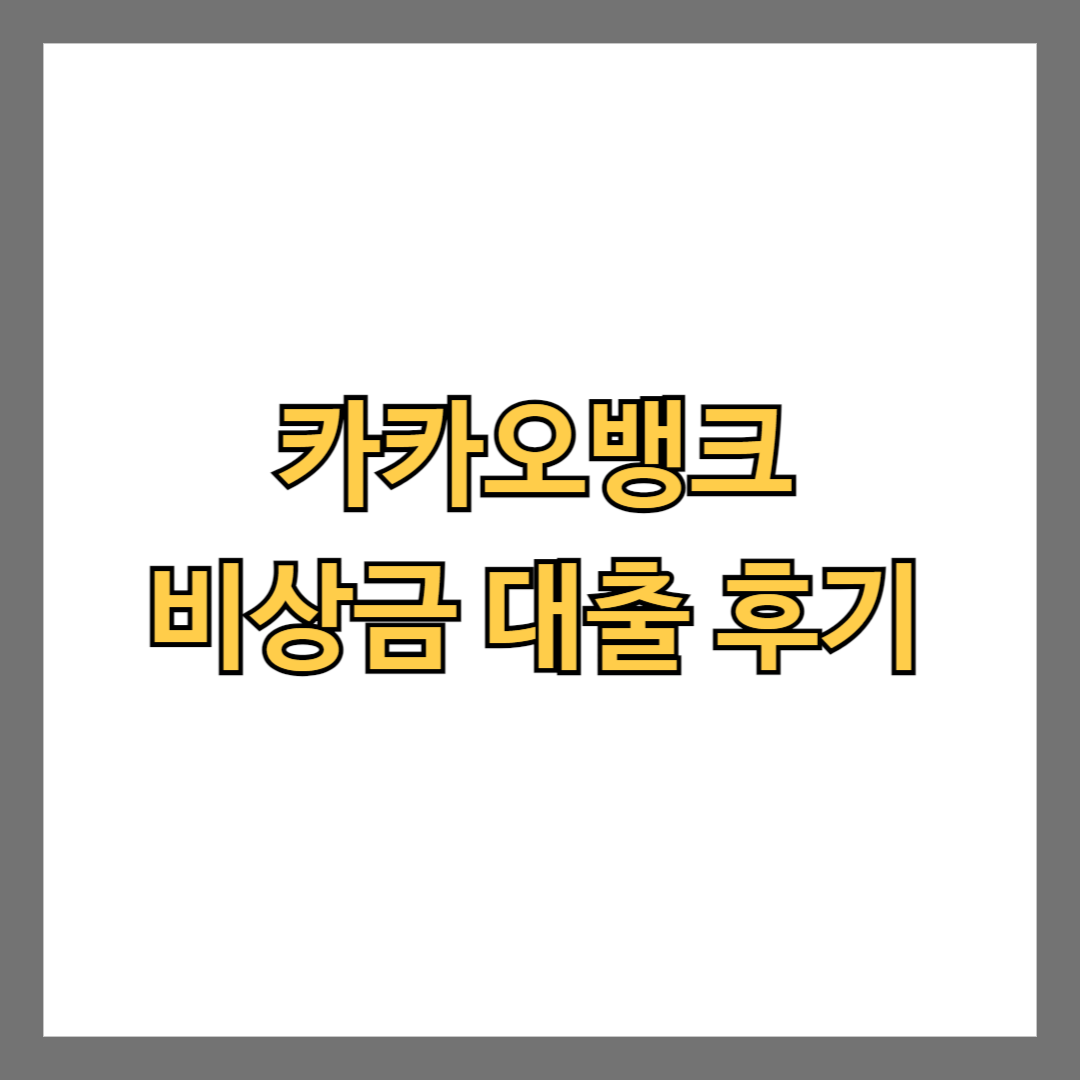 카카오뱅크 비상금 대출 후기