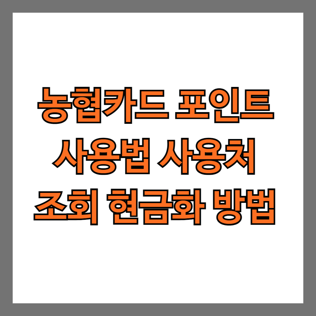 농협카드 포인트 사용법 사용처 조회 현금화 방법