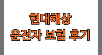 현대해상 운전자 보험 후기 5가지(사고후기, 보험료공개)