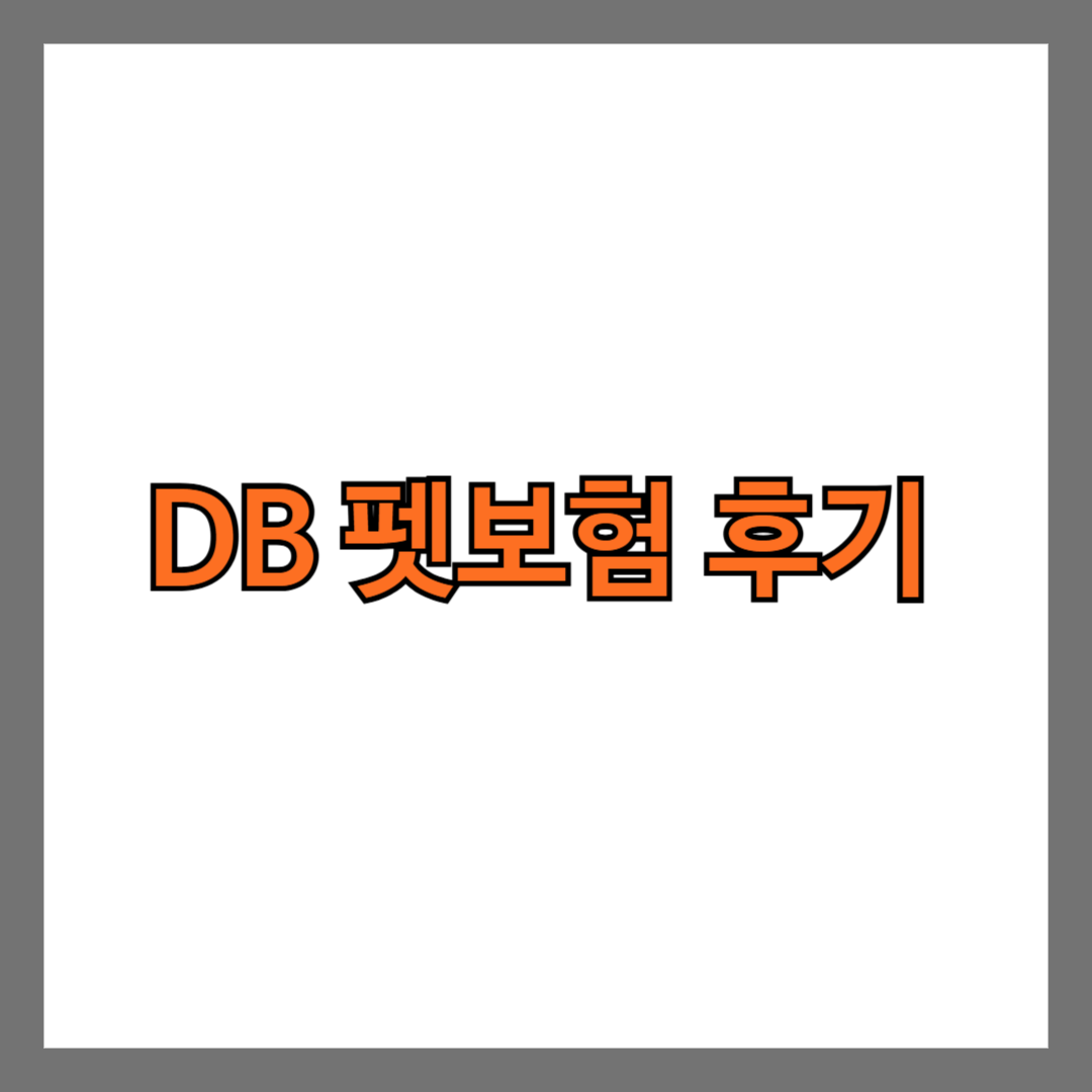 DB 펫보험 후기