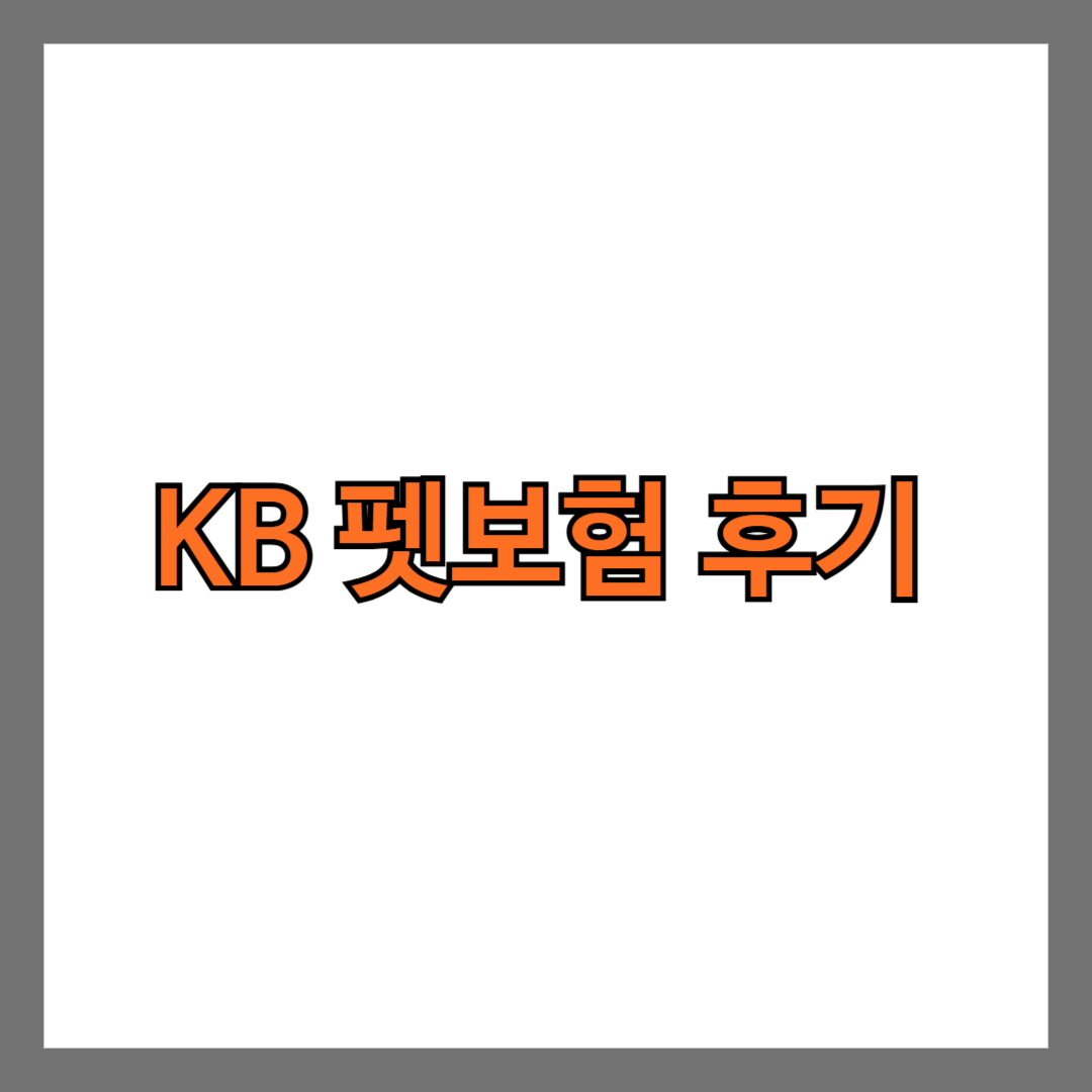 KB 펫보험 후기