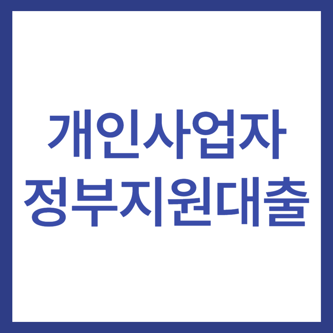 개인사업자 정부지원대출 19개(금리, 조건 포함)