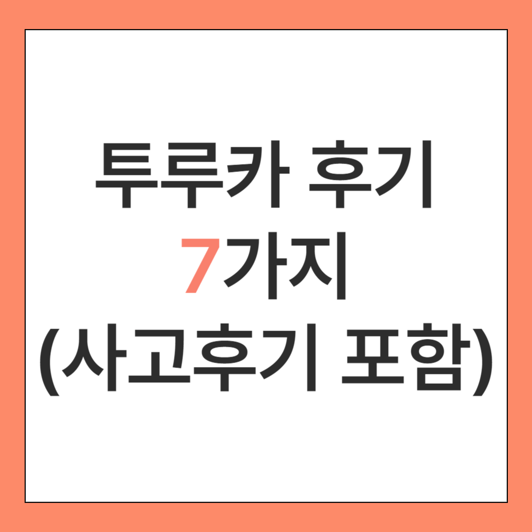 투루카 후기7가지(사고 후기 포함)