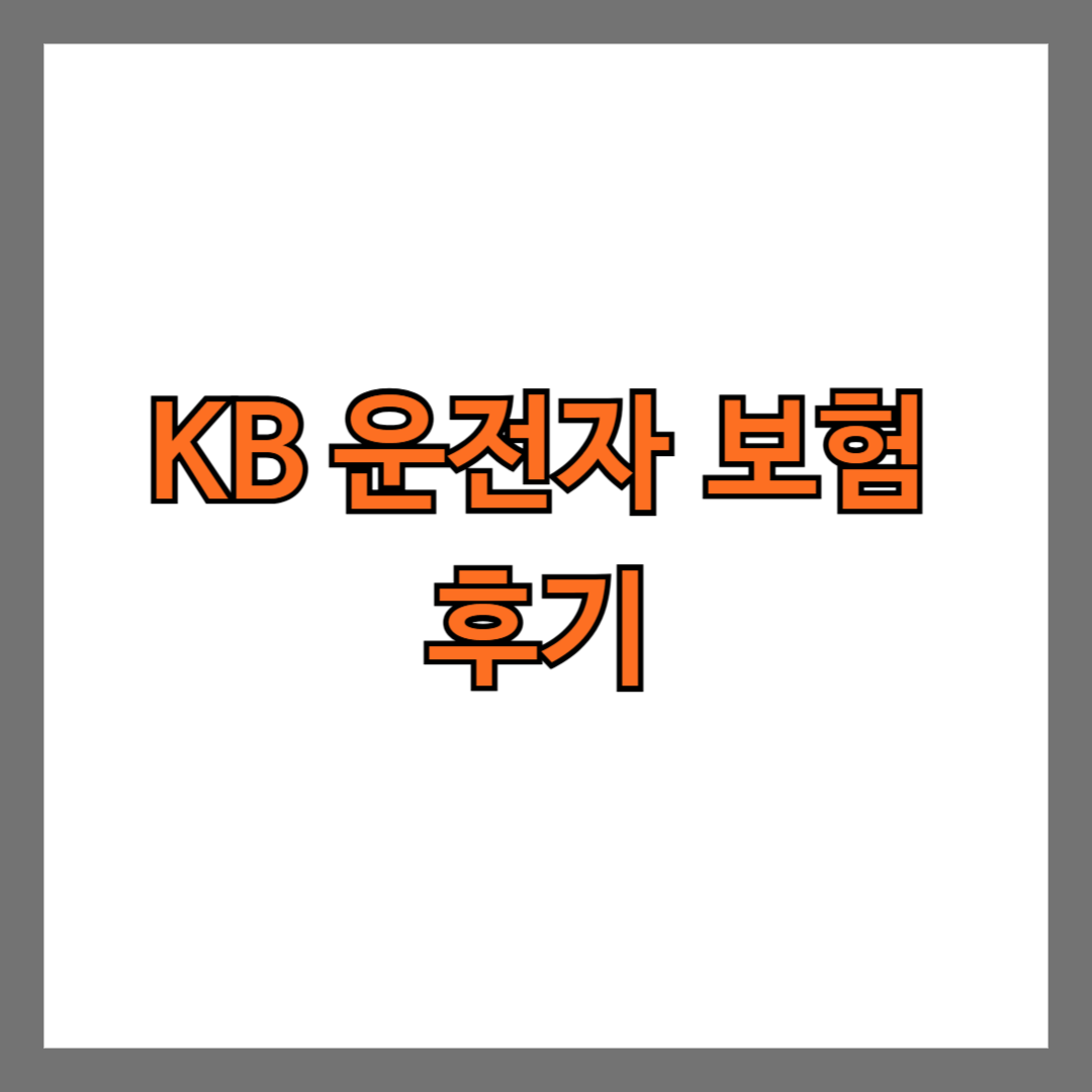 KB 운전자보험 후기