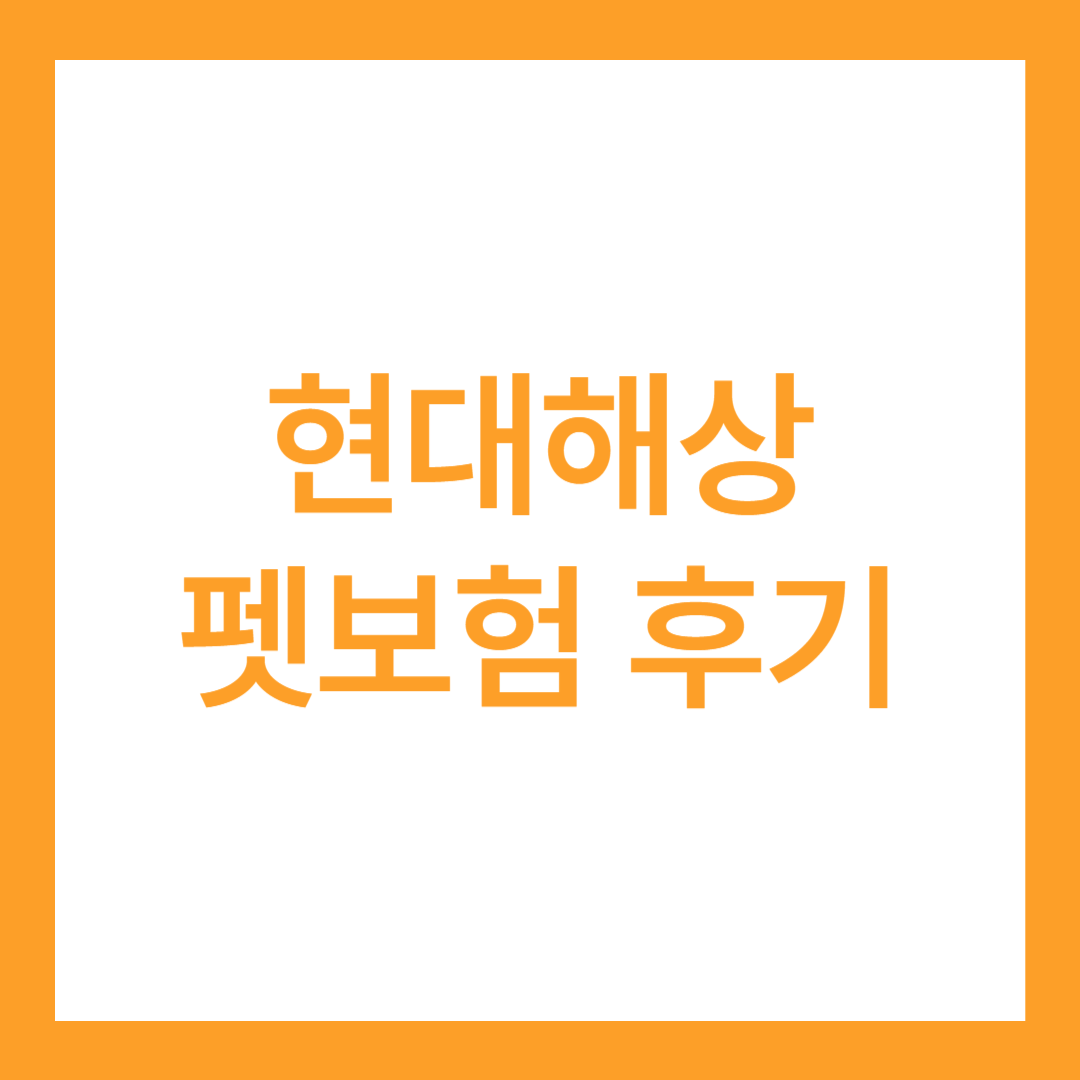 현대해상 펫보험 후기 4가지(강아지, 고양이를 알아보자)