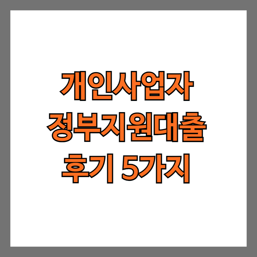 개인사업자 정부지원대출 후기 5가지