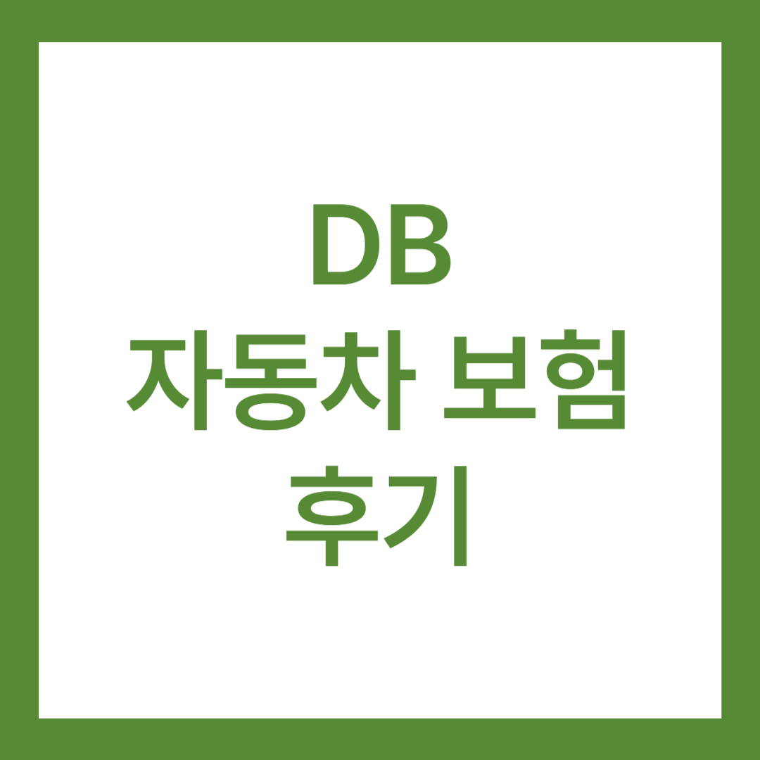 DB 자동차 보험 후기 5가지(사고 후기 있음)