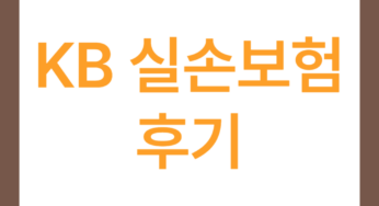 KB 실손보험 후기 3가지(보험료 공개, 청구 후기 포함)