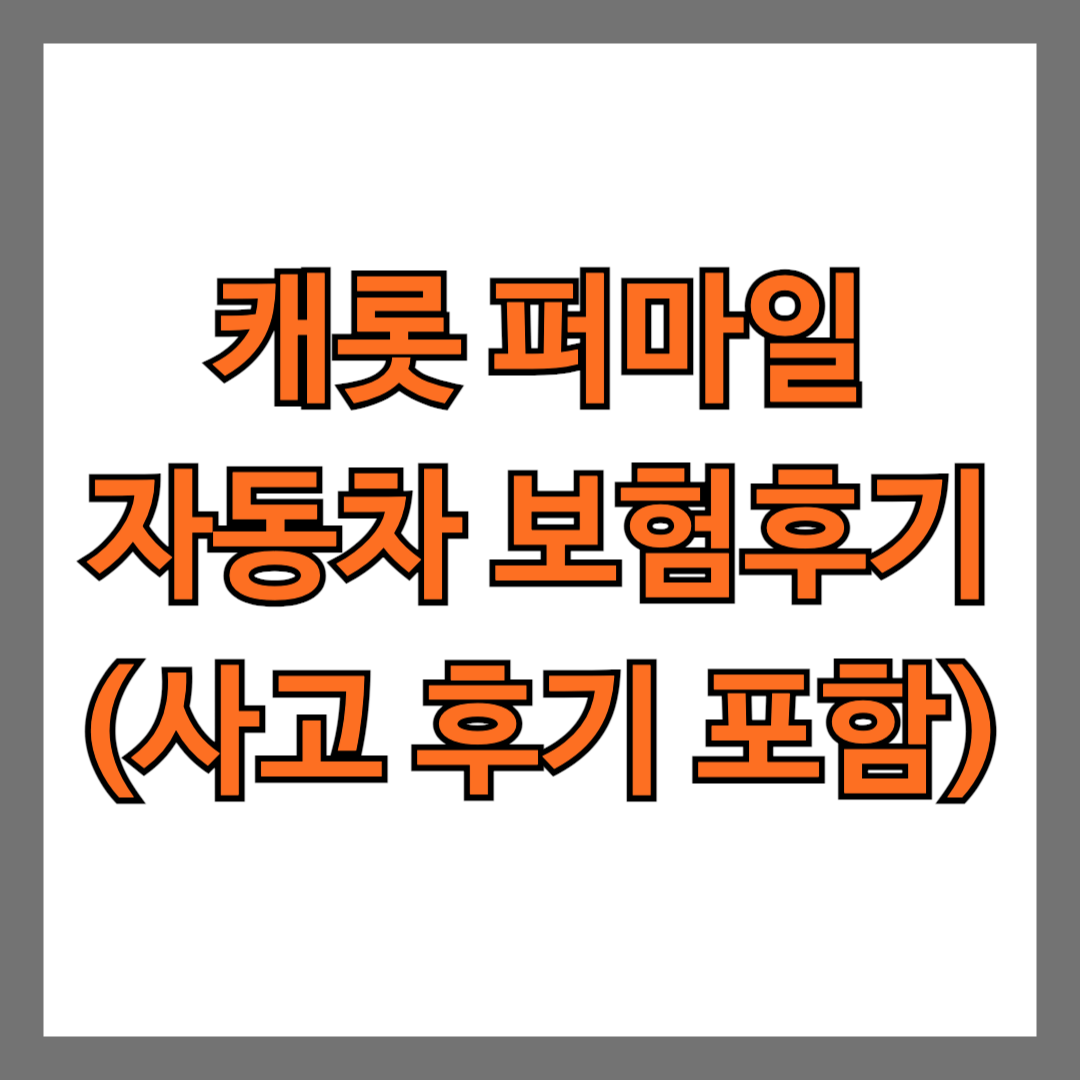 캐롯 퍼마일 자동차 보험 후기 사고 후기