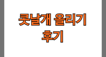 콧날개올리기 후기 6개(수술직후~3개월 사진후기)