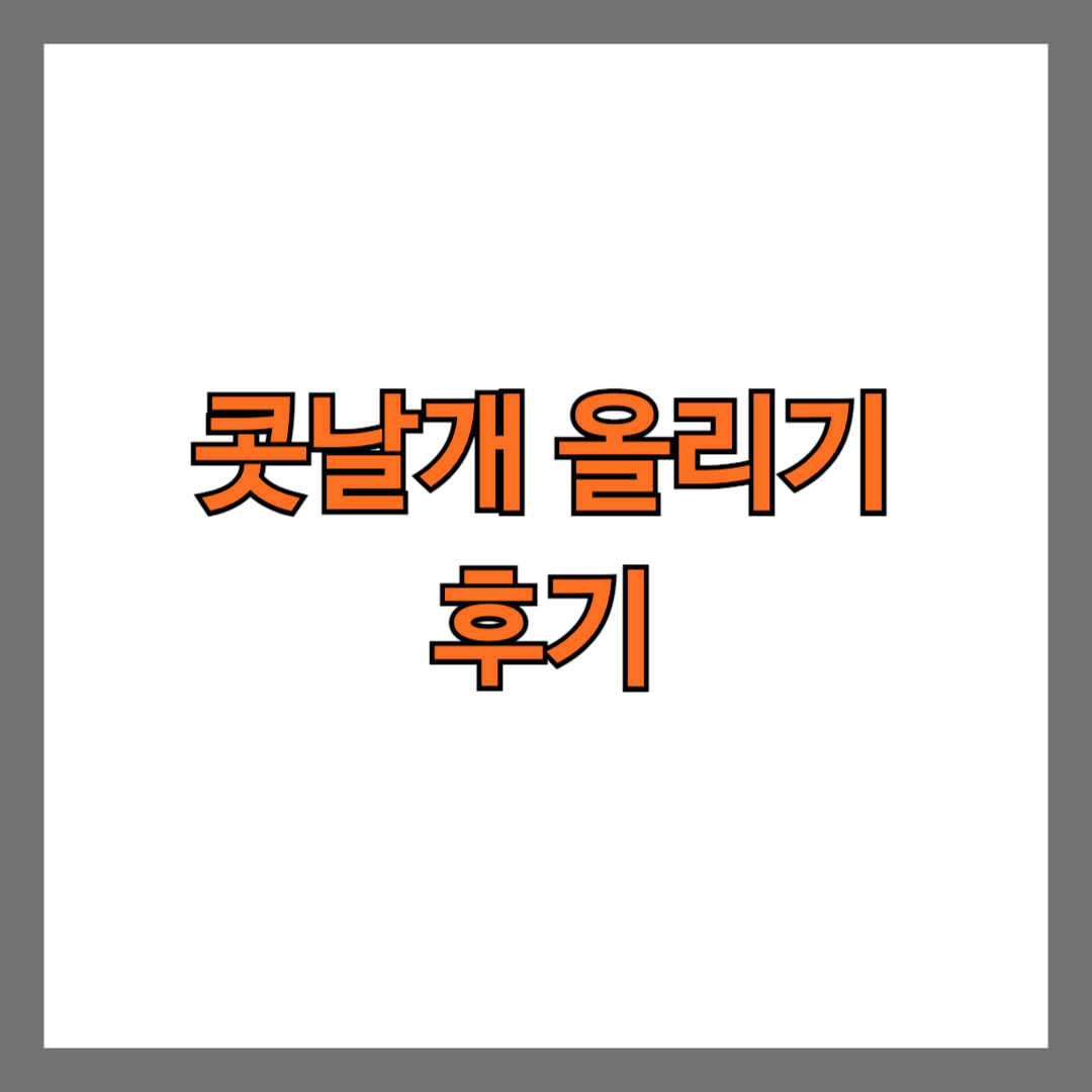 콧날개 올리기 후기