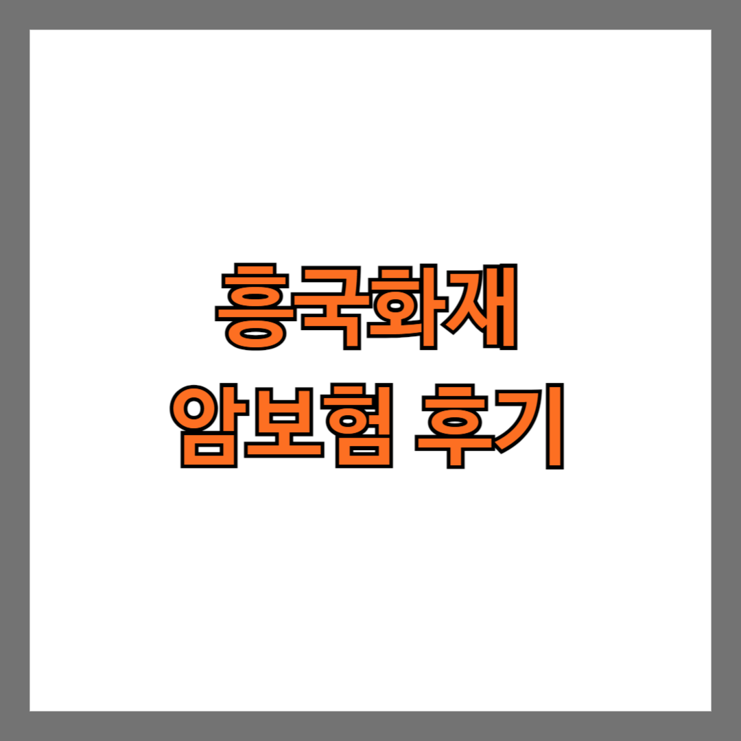 흥국화재 암보험 후기