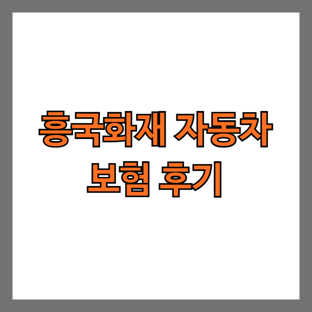 흥국화재 자동차 보험 후기