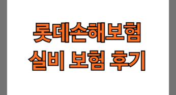 롯데손해보험 실비 보험 후기 6가지(청구후기/수령후기)