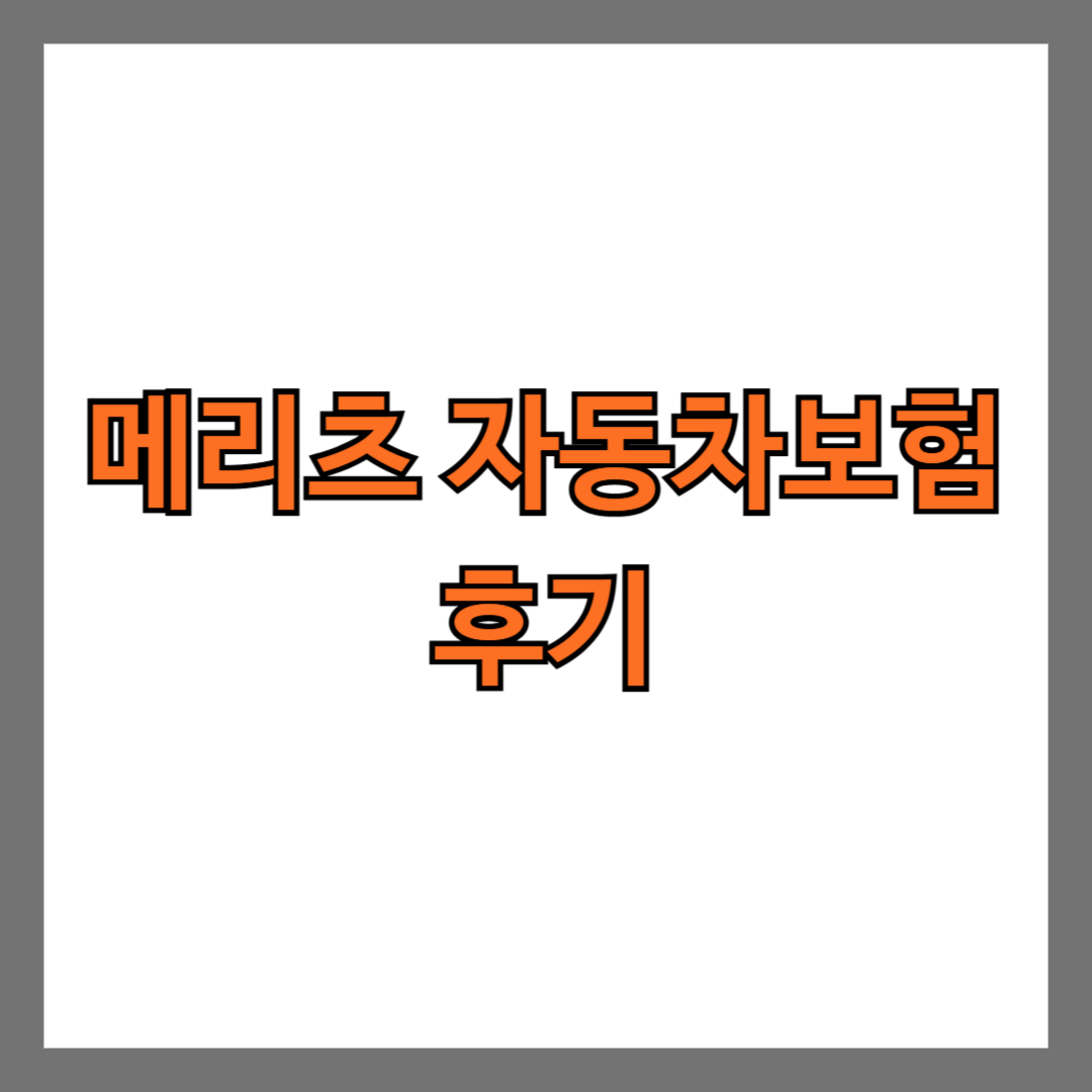 메리츠 자동차 보험 후기