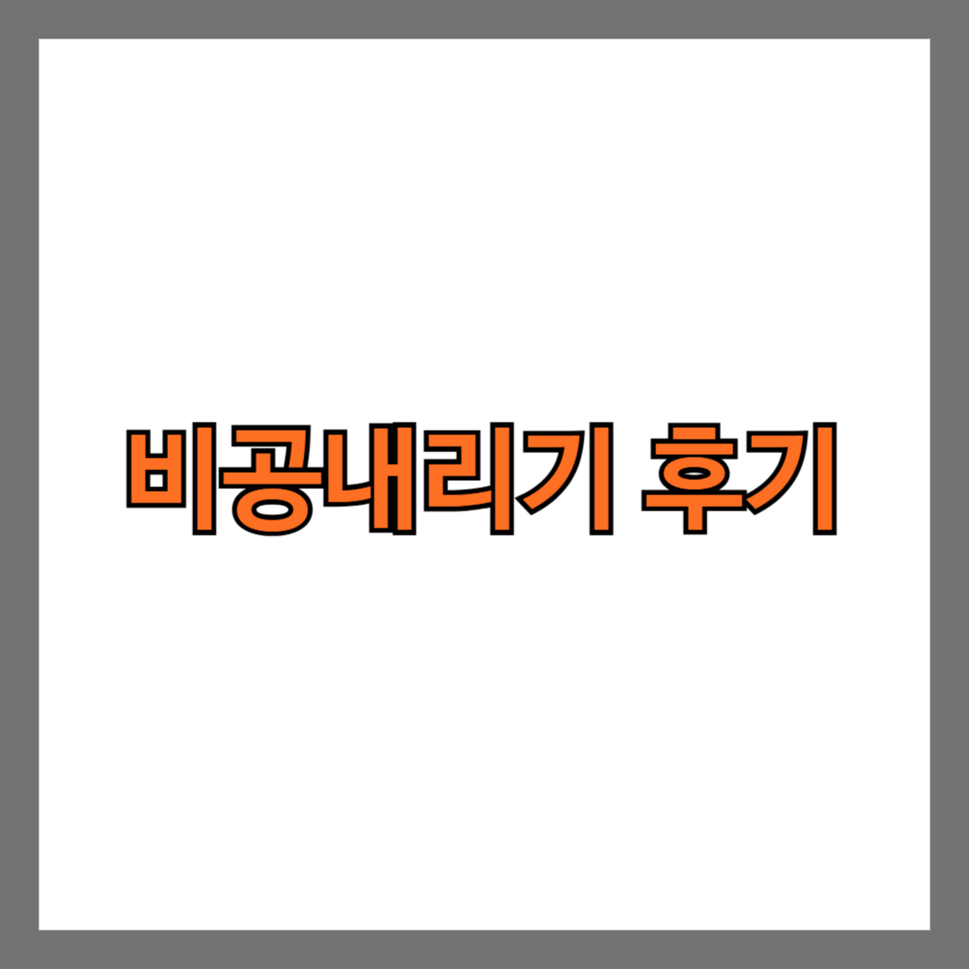 비공내리기 후기